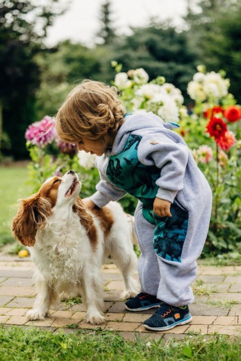 Kombinezon dla dziecka - rozmiar 116 - Szary Melanż z Park Jurajski