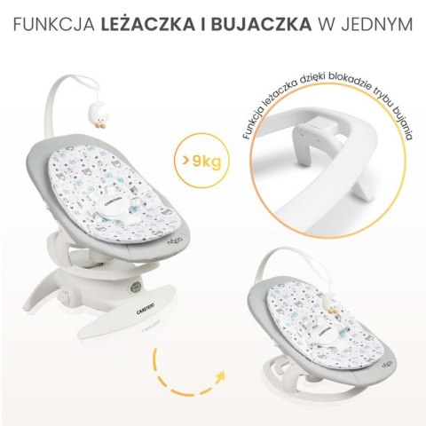 CARETERO BUJACZEK NOCO GREY