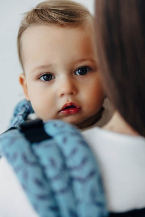 Nosidełko LennyUpGrade PRO z tkaniny żakardowej 100% bawełna , rozmiar standard - ZACZAROWANY ZAKĄTEK - FAIRY