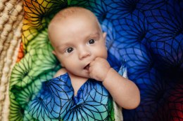 Otulacz Bambusowy - TĘCZOWY LOTOS (drugi gatunek)