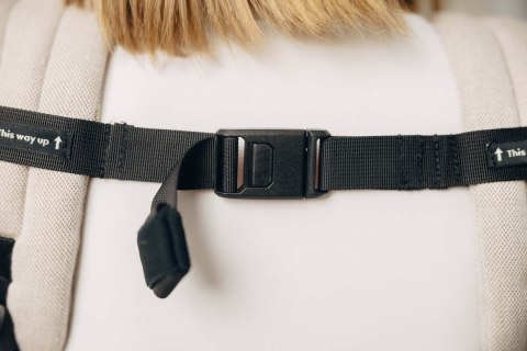Pasek chest belt z klamrą magnetyczną